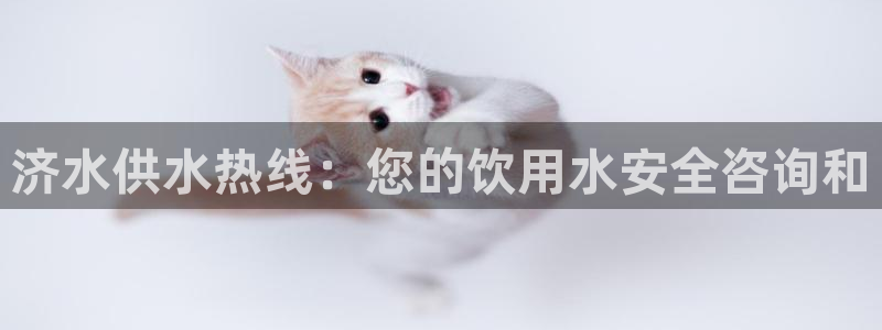 球友会软件