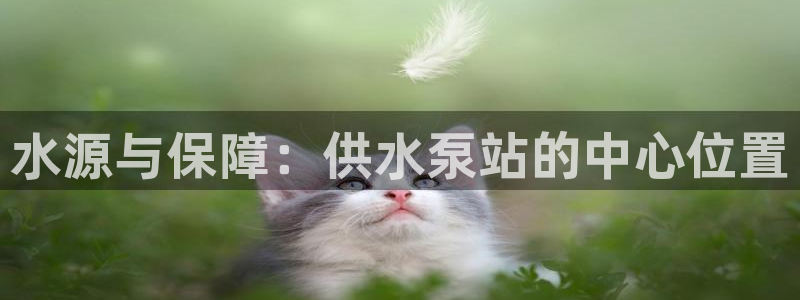 球友会聚餐发言简短