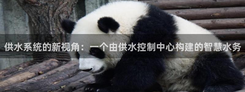 球友会官网入口网址