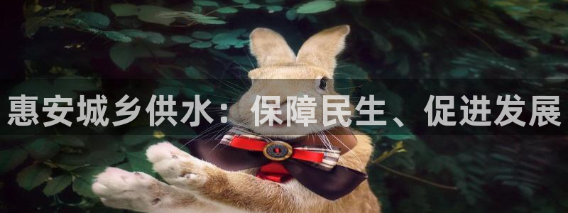 球友会是什么