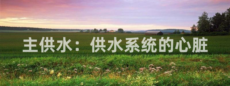 球友会网站多少