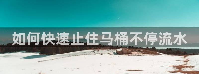 球友会比赛结果查询