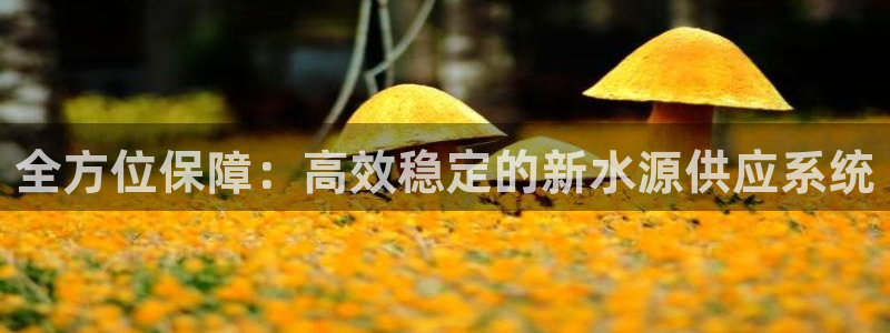 球友会是不是大平台