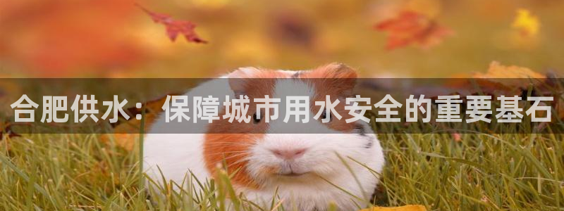 球友会app下载QY