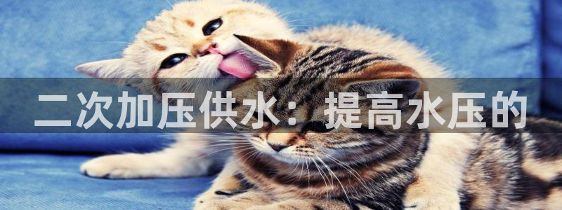 球友会体育官网