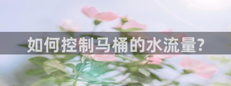 球友会比赛结果查询官网