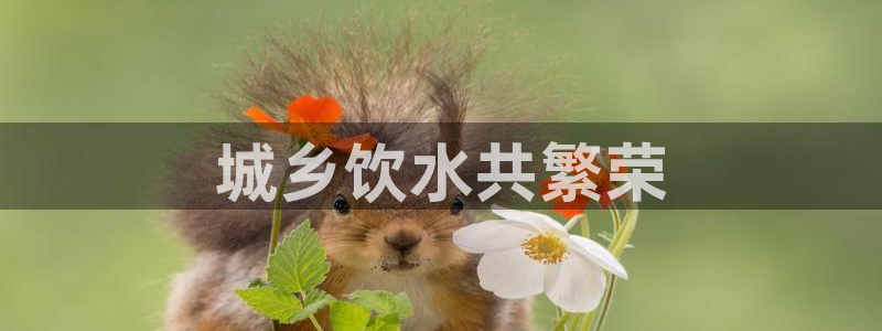 球友会官网入口网址