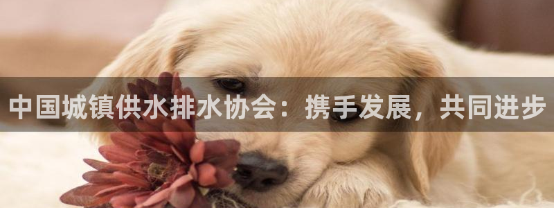 球友会app官方网站