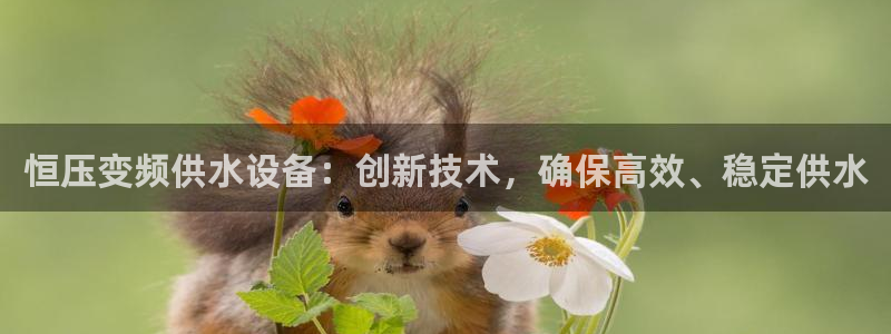 球友会聚餐发言