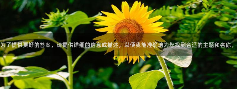 球友会提款不到账